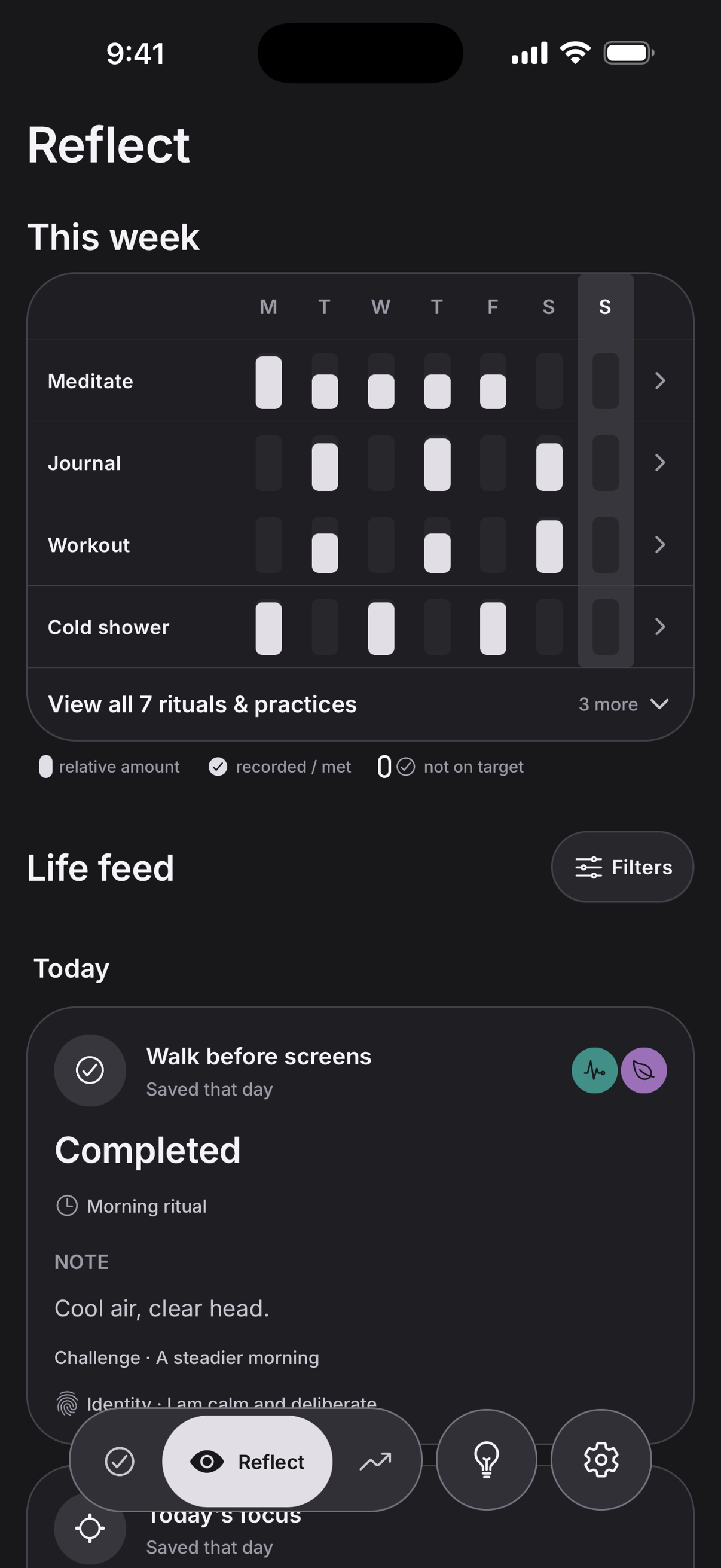 Daily Ritual Reflect screen in Graphite dark mode showing Life Domains and ritual patterns